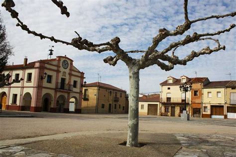 guiadesoria.es